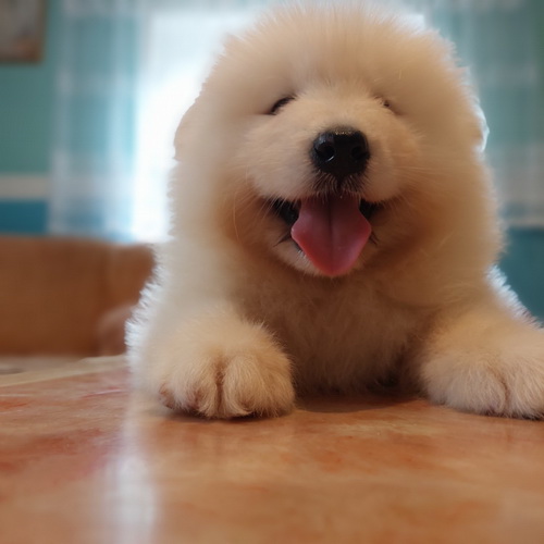 01-viber_slika_2022-10-11_11-03-32-698-manja