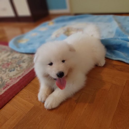 02-viber_slika_2022-10-11_11-03-33-451-najmanja