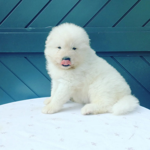 03-viber_slika_2022-10-11_11-02-13-921-manja